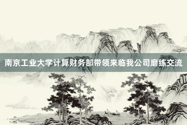 南京工业大学计算财务部带领来临我公司磨练交流