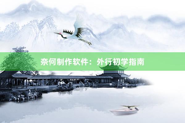 奈何制作软件：外行初学指南