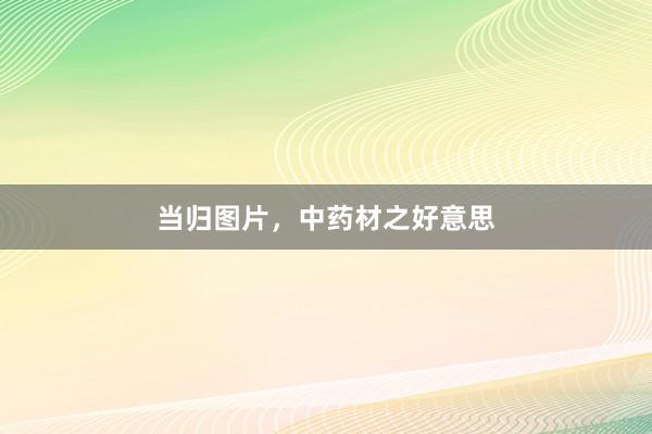 当归图片，中药材之好意思