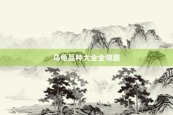 乌龟品种大全全领路